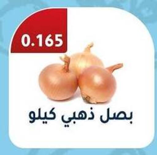 Onion available at Al Fahaheel Co - Op Society in Kuwait - Ahmadi Governorate