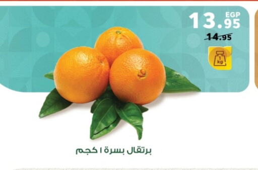 Orange available at Panda  in Egypt - Cairo