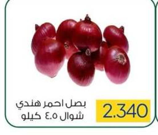 Onion available at Sabah Al Salem Co op in Kuwait - Ahmadi Governorate