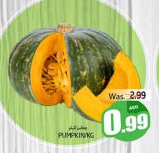 Pumpkin available at مجموعة باسونس in الإمارات العربية المتحدة , الامارات - ٱلْعَيْن‎