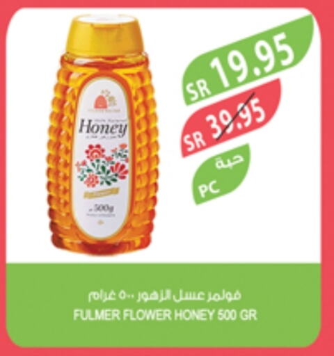 Honey available at Farm  in KSA, Saudi Arabia, Saudi - Yanbu