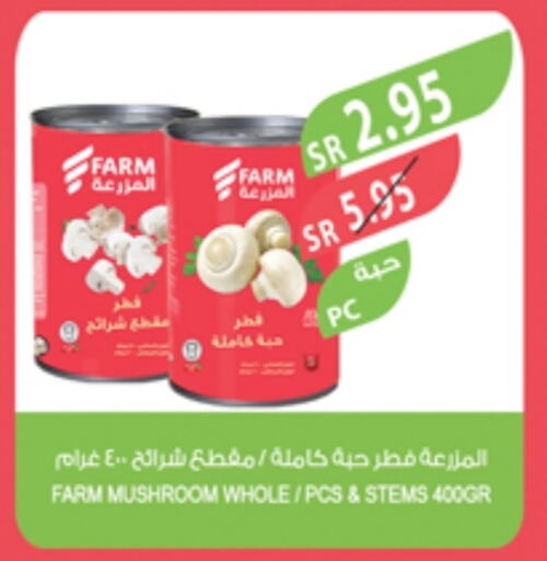 Mushroom available at Farm  in KSA, Saudi Arabia, Saudi - Qatif