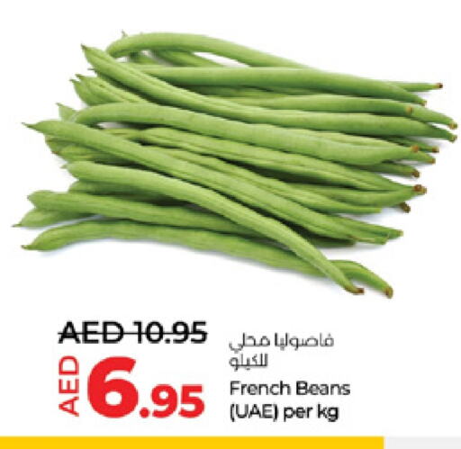 فاصوليا from France available at لولو هايبرماركت in الإمارات العربية المتحدة , الامارات - ٱلْعَيْن‎