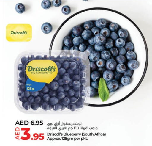 Berries from South Africa available at Lulu Hypermarket in UAE - Fujairah