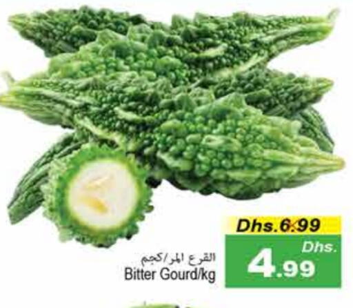 Gourd available at PASONS GROUP in UAE - Fujairah