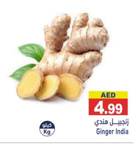 زنجبيل from India available at أسواق رامز in الإمارات العربية المتحدة , الامارات - أبو ظبي