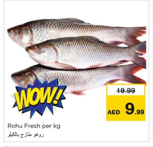 available at Nesto Hypermarket in UAE - Fujairah