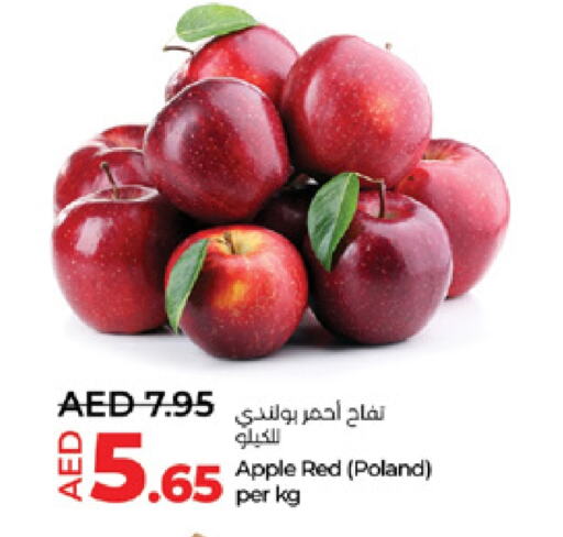 تفاح from Poland available at لولو هايبرماركت in الإمارات العربية المتحدة , الامارات - ٱلْعَيْن‎