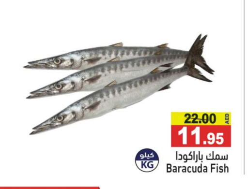 available at أسواق رامز in الإمارات العربية المتحدة , الامارات - رَأْس ٱلْخَيْمَة