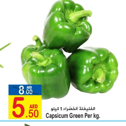 Chilli / Capsicum available at Sun and Sand Hypermarket in UAE - Ras al Khaimah