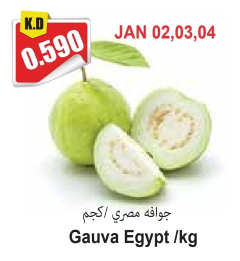 Guava from Egypt available at Locost Supermarket in Kuwait - Kuwait City