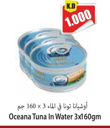 Tuna - Canned available at Locost Supermarket in Kuwait - Kuwait City