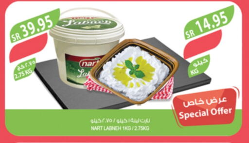 Labneh available at Farm  in KSA, Saudi Arabia, Saudi - Yanbu