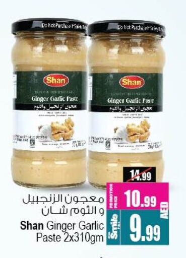 SHAN Garlic Paste available at Ansar Gallery in UAE - Dubai