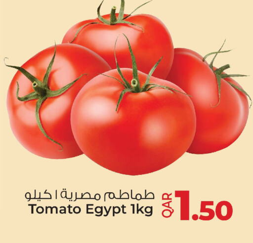 Tomato from Egypt available at Ansar Gallery in Qatar - Al-Shahaniya