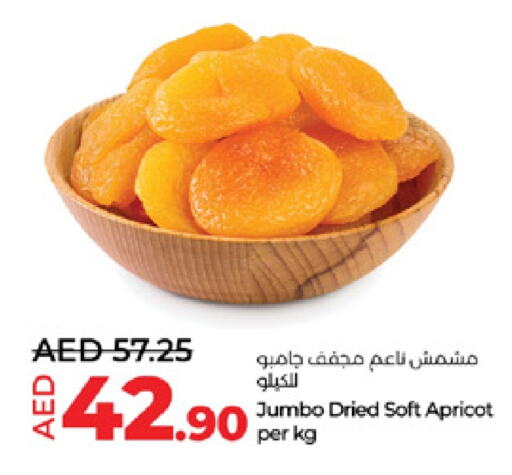 Apricot available at لولو هايبرماركت in الإمارات العربية المتحدة , الامارات - ٱلْعَيْن‎