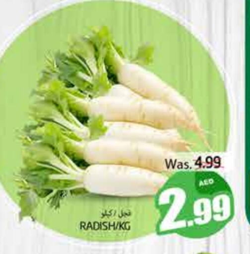 Radish available at PASONS GROUP in UAE - Al Ain