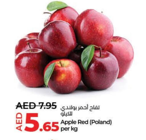 تفاح from Poland available at لولو هايبرماركت in الإمارات العربية المتحدة , الامارات - ٱلْفُجَيْرَة‎