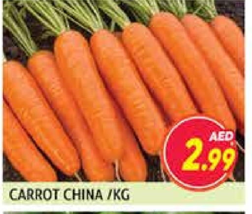 Carrot from China available at Palm Centre LLC in UAE - Sharjah / Ajman