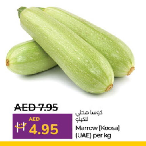 كوسا available at لولو هايبرماركت in الإمارات العربية المتحدة , الامارات - ٱلْعَيْن‎