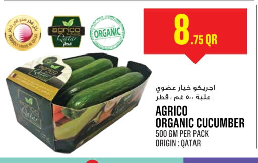 Cucumber from Qatar available at Monoprix in Qatar - Al Shamal