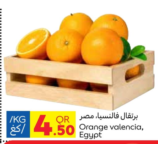 برتقال from Egypt available at كارفور in قطر - الشمال