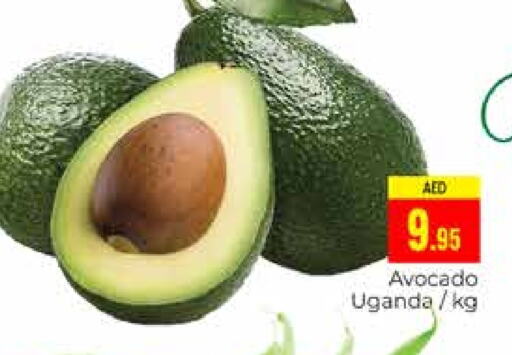 Avacado from Uganda available at PASONS GROUP in UAE - Dubai