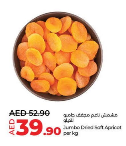 Apricot available at لولو هايبرماركت in الإمارات العربية المتحدة , الامارات - ٱلْفُجَيْرَة‎