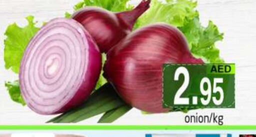 Onion available at PASONS GROUP in UAE - Dubai