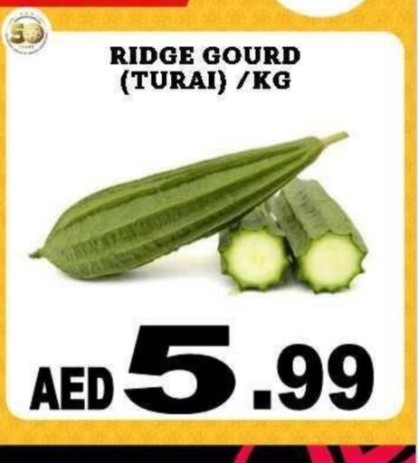 Gourd available at Al Madina  in UAE - Dubai