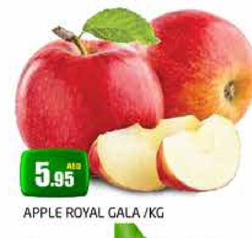 Apples available at PASONS GROUP in UAE - Dubai