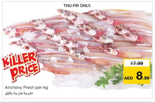 available at Nesto Hypermarket in UAE - Fujairah