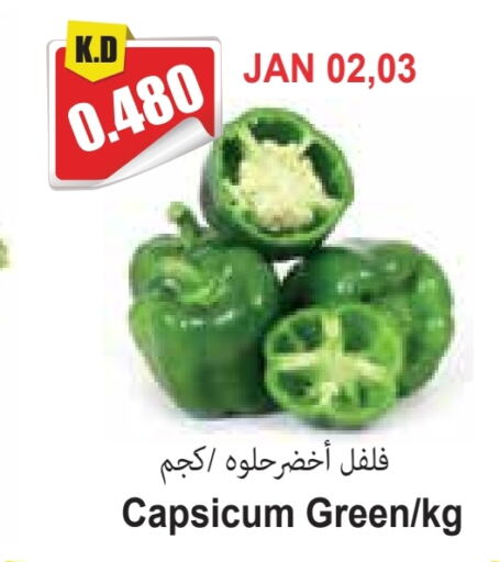 Chilli / Capsicum available at Locost Supermarket in Kuwait - Kuwait City