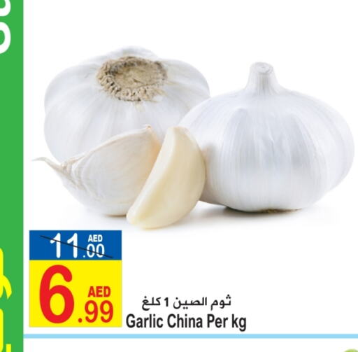 Garlic from China available at Sun and Sand Hypermarket in UAE - Ras al Khaimah