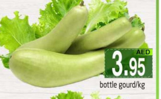 Gourd available at PASONS GROUP in UAE - Dubai