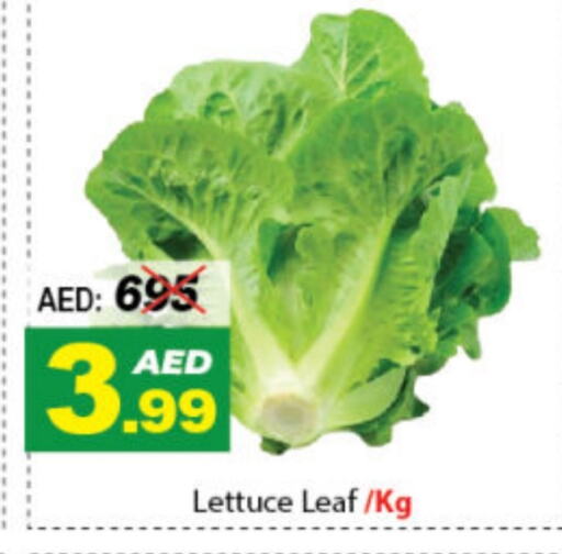 Lettuce available at ديزرت فريش ماركت in الإمارات العربية المتحدة , الامارات - أبو ظبي