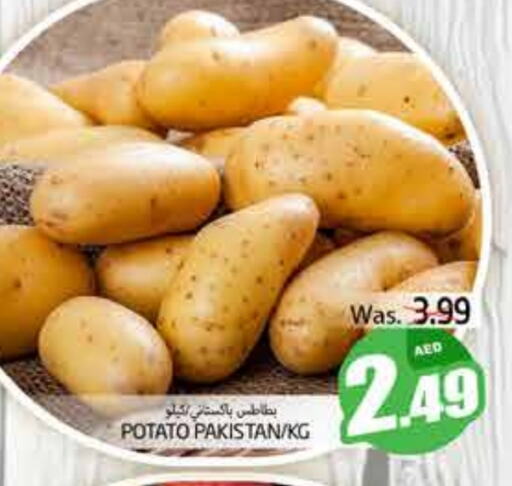 Potato from Pakistan available at PASONS GROUP in UAE - Al Ain