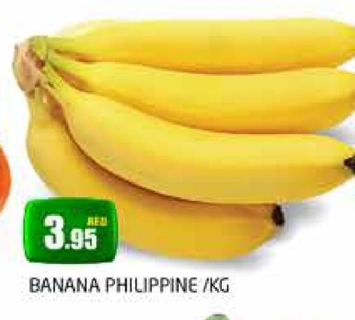 Banana from Philippines available at PASONS GROUP in UAE - Dubai