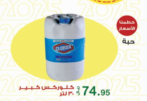 CLOROX General Cleaner available at Smart Shopper in KSA, Saudi Arabia, Saudi - Khamis Mushait