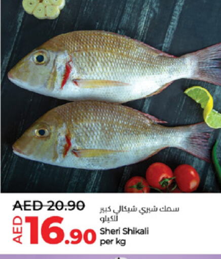 available at لولو هايبرماركت in الإمارات العربية المتحدة , الامارات - ٱلْعَيْن‎