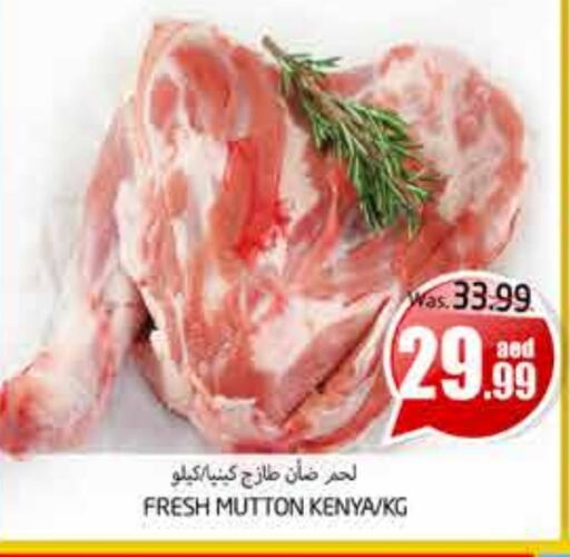 Mutton / Lamb available at PASONS GROUP in UAE - Al Ain