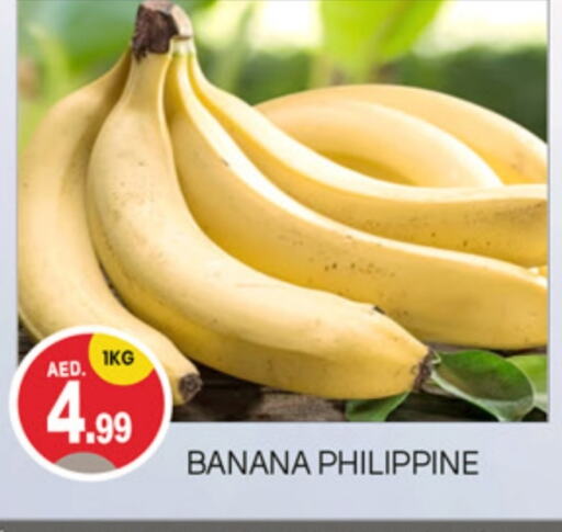 Banana from Philippines available at TALAL MARKET in UAE - Dubai