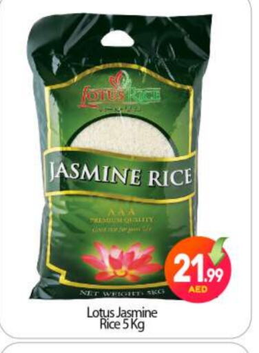 Jasmine Rice available at BIGmart in UAE - Abu Dhabi