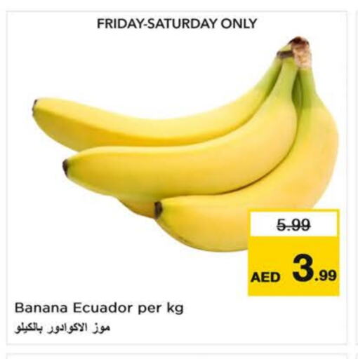 Banana from Ecuador available at Last Chance  in UAE - Sharjah / Ajman