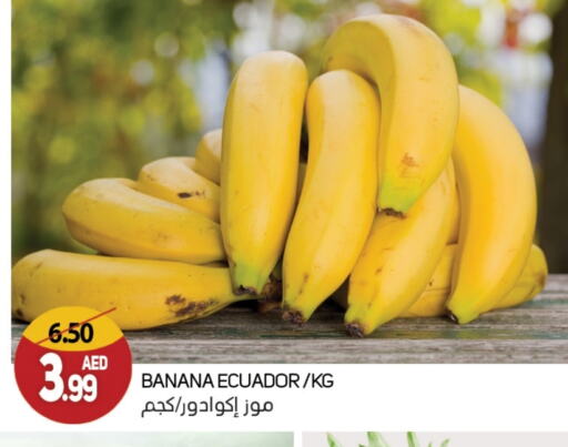 موز from Ecuador available at سوق المبارك هايبرماركت in الإمارات العربية المتحدة , الامارات - الشارقة / عجمان