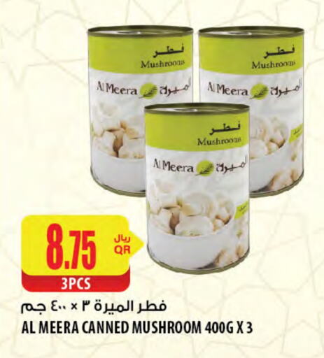 Mushroom available at شركة الميرة للمواد الاستهلاكية in قطر - الشمال