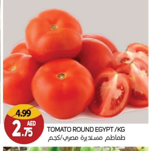 Tomato from Egypt available at Souk Al Mubarak Hypermarket in UAE - Sharjah / Ajman