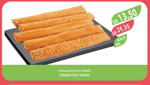 Sesame available at Farm  in KSA, Saudi Arabia, Saudi - Hafar Al Batin