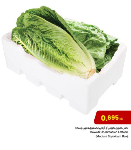 Lettuce from Kuwait Jordan available at مركز سلطان in الكويت - مدينة الكويت