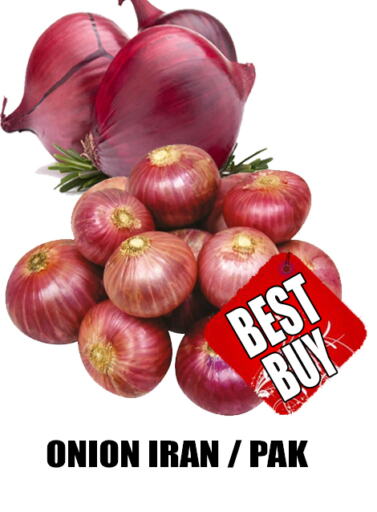 Onion from Iran available at GRAND MAJESTIC HYPERMARKET in UAE - Abu Dhabi